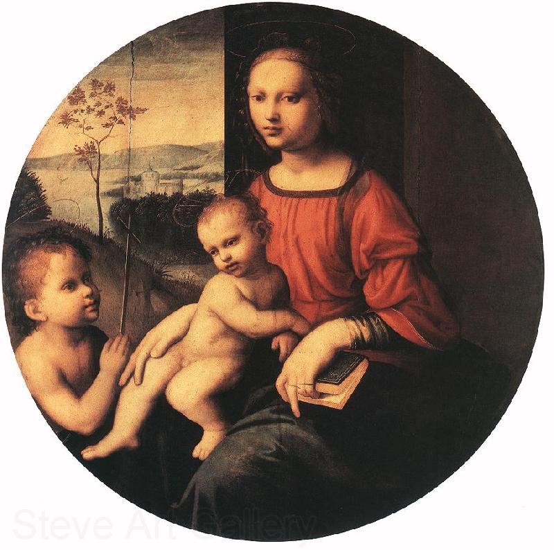 BUGIARDINI, Giuliano Virgin and Child with the Infant St John the Baptist Spain oil painting art